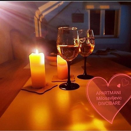Apartmani Milosavljevic Дивчибаре Экстерьер фото